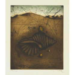 Muscheln | Udo Nolte