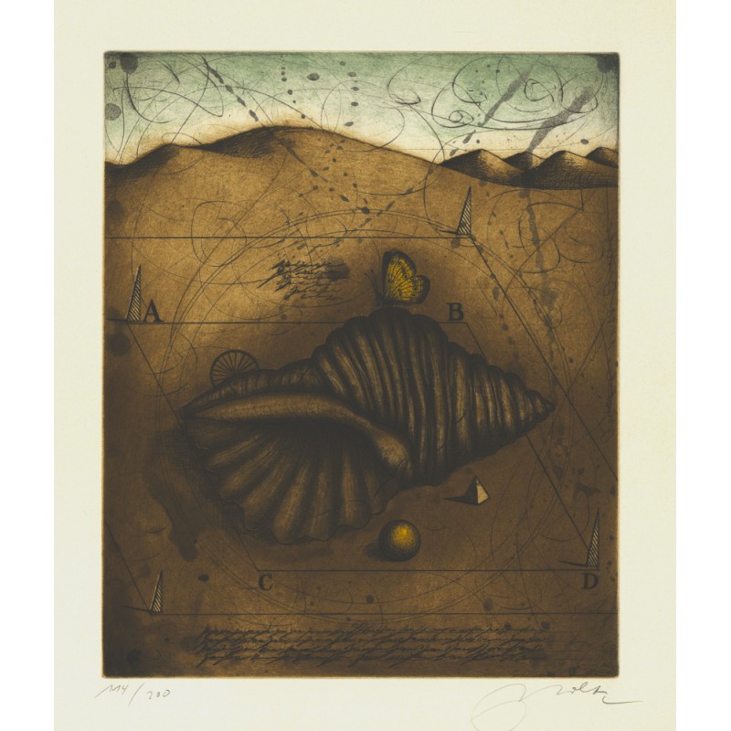 Muscheln | Udo Nolte