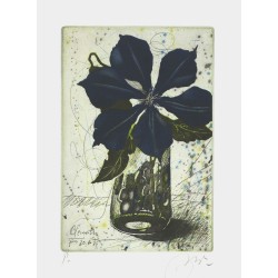 Clematis | Udo Nolte