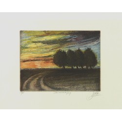 Sonnenuntergang | Udo Nolte