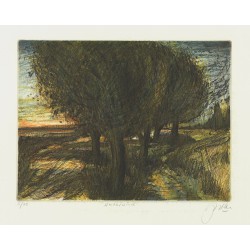 Herbstwind | Udo Nolte