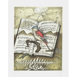 Vogel | Udo Nolte