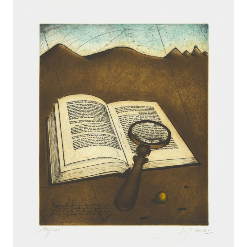 Buch | Udo Nolte