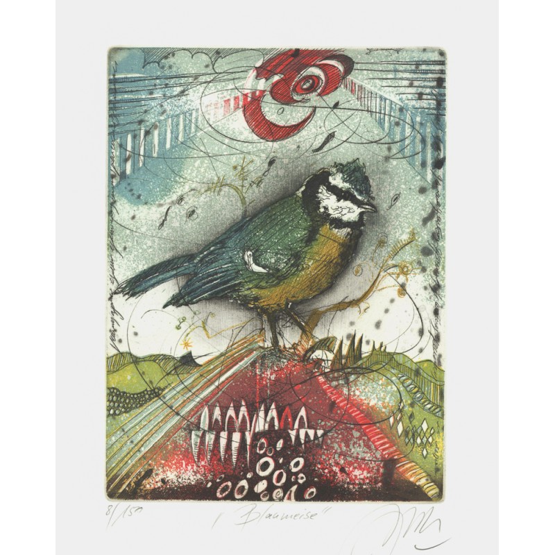 Blaumeise | Udo Nolte