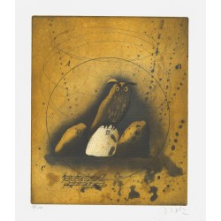 Eule | Udo Nolte