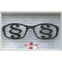 Volker Kühn "Der richtige Durchblick" Original Bild