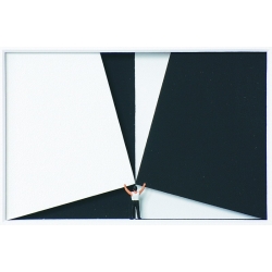 Volker Kühn "Black and White" 3D Objekt Original Bilder kaufen