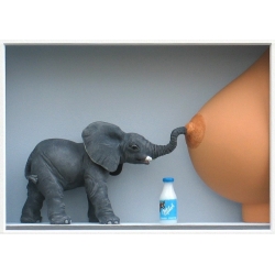 Volker Kühn "Kein Kostverächter" 3D Objekt Original Bilder kaufen