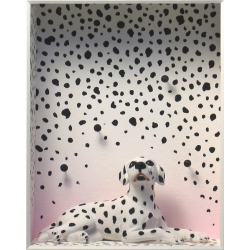 Volker Kühn "Schnee in Dalmatien" 3D Objekt Original Bilder kaufen