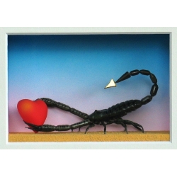Volker Kühn "Skorpion" 3D Objekt Original Bilder kaufen