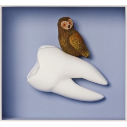 Volker Kühn "Weisheitszahn" 3D Objekt Original Bilder kaufen