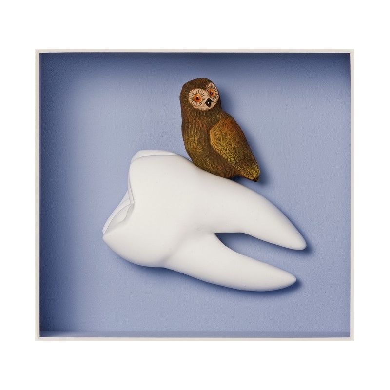 Volker Kühn "Weisheitszahn" 3D Objekt Original Bilder kaufen