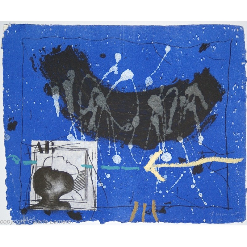 Original Kunst von James Coignard "Directionnel bleu WV1102" kaufen Sie Bilder des weltbekannten