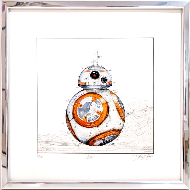 Leslie Hunt Bilder kaufen Original BB8 mit Alu-Glanzrahmen aus der Star Wars Serie