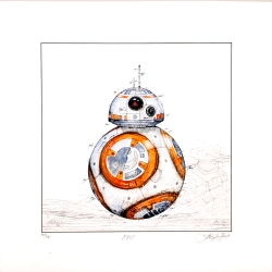 Leslie Hunt Bilder kaufen Original BB8 aus der Star Wars Serie