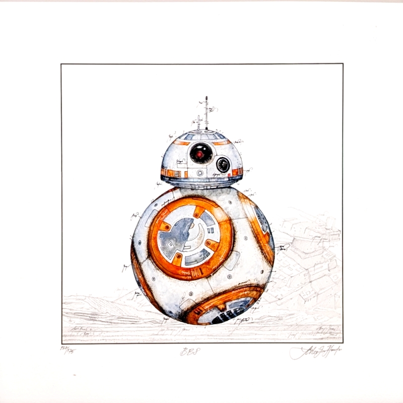 Leslie Hunt Bilder kaufen Original BB8 aus der Star Wars Serie