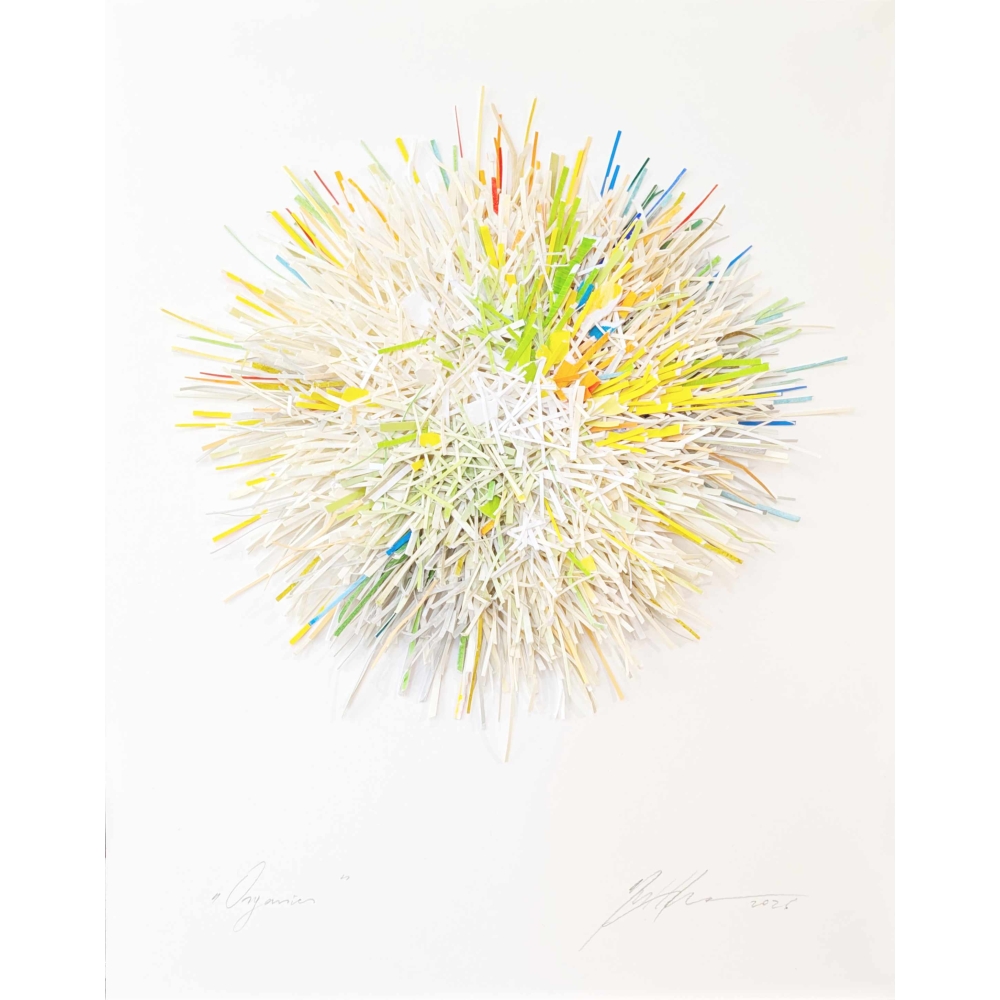 Gabriele Mierzwa "Organics" (weiss-bunt) 50x40 - Original 3D Papierobjekt Preis: 1.820,00 €